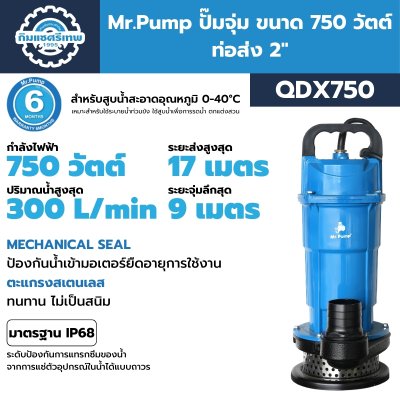 ปั๊มจุ่ม ไดโว่ Mr.Pump QDX750