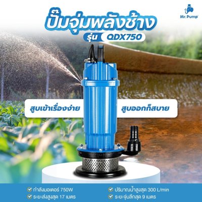 Mr.Pump ปั๊มจุ่ม ไดโว่ ขนาด 750 วัตต์ ท่อส่ง 2" รุ่น QDX750