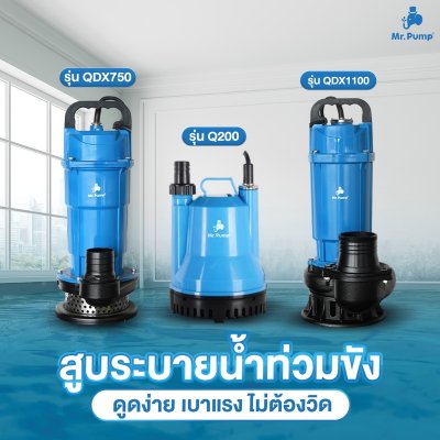Mr.Pump ปั๊มจุ่ม ไดโว่ ขนาด 1100 วัตต์ ท่อส่ง 3" รุ่น QDX1100