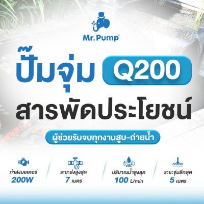 ไดโว่ ปั๊มจุ่ม Mr.Pump 200 วัตต์ 1 นิ้ว รุ่น Q200