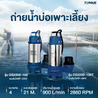 ปั๊มจุ่ม TORQUE DS2200-100 ปั๊มจุ่ม TORQUE DS2200-100