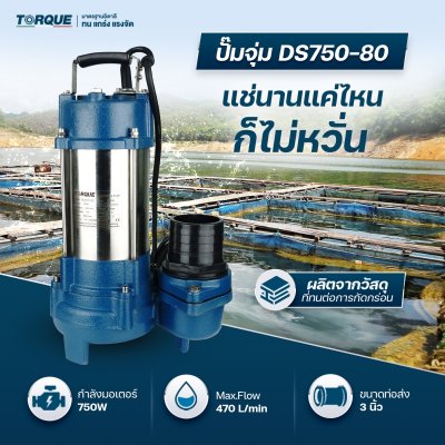 ปั๊มจุ่ม TORQUE DS750-80 ปั๊มจุ่ม TORQUE DS750-80