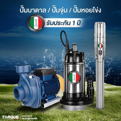 ปั๊มจุ่ม 550 วัตต์ ท่อส่ง 2 นิ้ว TORQUE รุ่น DS550, DS550F (พร้อมสวิตช์ลูกลอย) | สำหรับสูบน้ำเสียและน้ำสะอาด ปั๊มจุ่ม 550 วัตต์ ท่อส่ง 2 นิ้ว TORQUE รุ่น DS550, DS550F (พร้อมสวิตช์ลูกลอย) | สำหรับสูบน้ำเสียและน้ำสะอาด