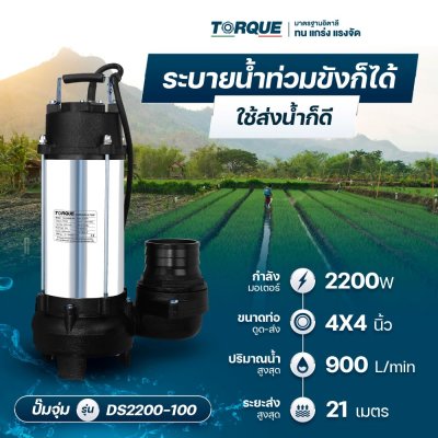 ปั๊มจุ่มน้ำเสีย TORQUE ขนาด 4 นิ้ว 220 วัตต์ รุ่น DS2200-100