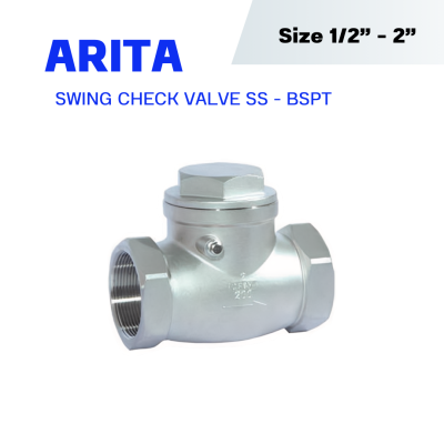 ARITA SSW-S04 | Swing Check Valve - BSPT