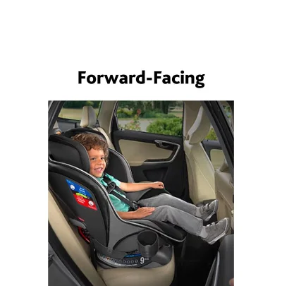 NextFit Zip Max Convertible Car Seat - Q Collection