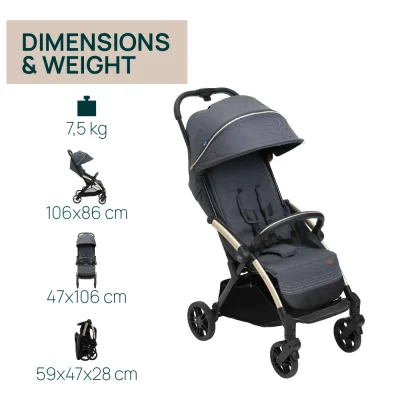 Chicco Stroller Goody XPlus Chicco Stroller Goody XPlus