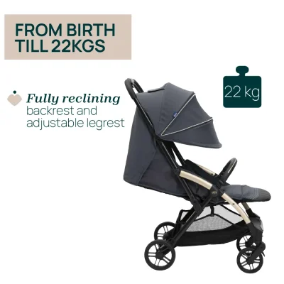 Chicco Stroller Goody XPlus Chicco Stroller Goody XPlus