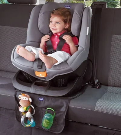 Chicco Deluxe Protection For Car Seat