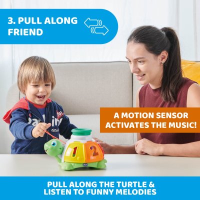 Turtle Sort & Surprise 1Y+