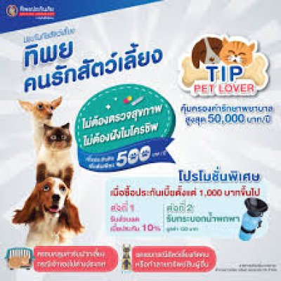 TIP Pet Lover
