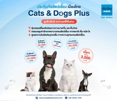 Cats & Dogs Plus