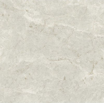 Ivory 13