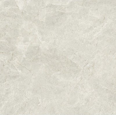 Ivory 14