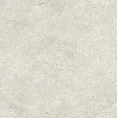 Ivory 15