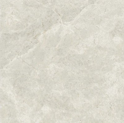 Ivory 21