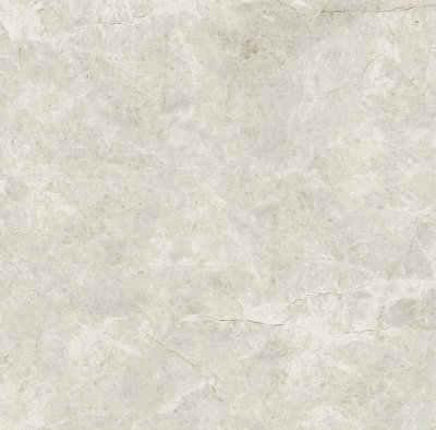 Ivory 23