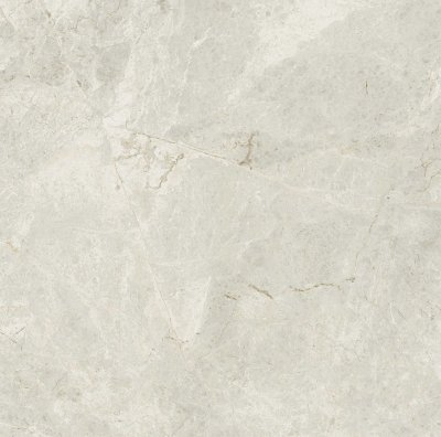 Ivory 7