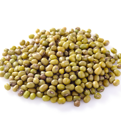 ถั่วเขียว (Mung Beans / Green Mung Beans)