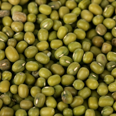 ถั่วเขียว (Mung Beans / Green Mung Beans)