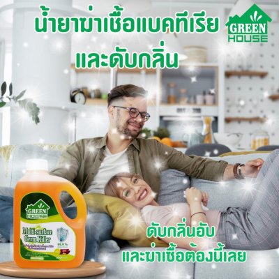 Green House น้ำยาฆ่าเชื้อแบคทีเรียและดับกลิ่น Multi surface germ killer 1000 ml กลิ่นไพน์