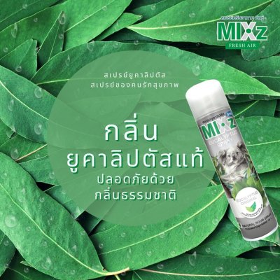 Mixz Eucalyptus Spray สเปรย์ปรับอากาศ 320 มล.
