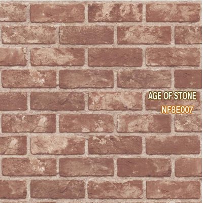 Age of stone 