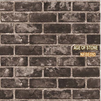 Age of stone 