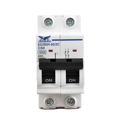 อุปกรณ์ตัดไฟอัตโนมัติ 2 โพล