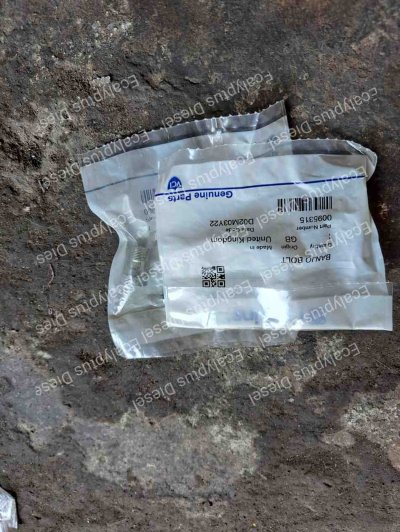 BANJO BOLT PERKINS 0095315