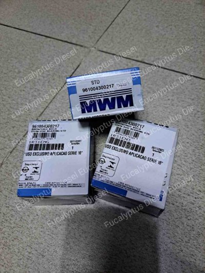 CONROD BEARING MWM 6.10 STD B131024 961004300217