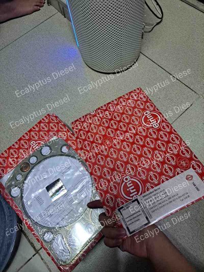 GASKET HEAD MERCY OM444 748.080 4220160420 4220160620 – ERLING