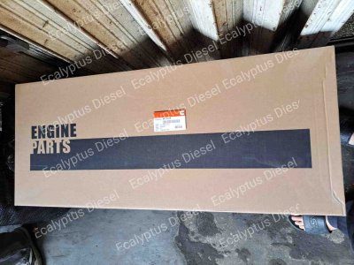 GASKET SET CUMMINS 4955229