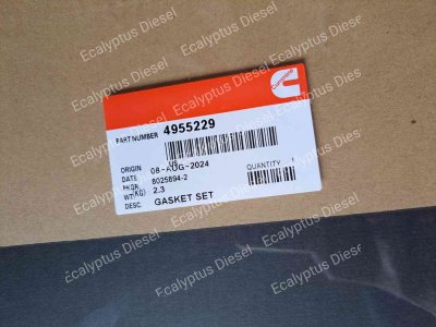 GASKET SET CUMMINS 4955229