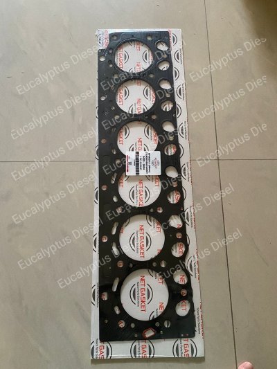 GASKET HEAD DEUTZ 2012 04289404 20798186 613769040 NET GASKET