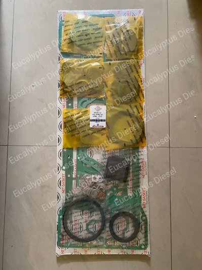 GASKET SET DEUTZ BF6M1013 VOLVO 722GE 02931737 013662402 NET GASKET