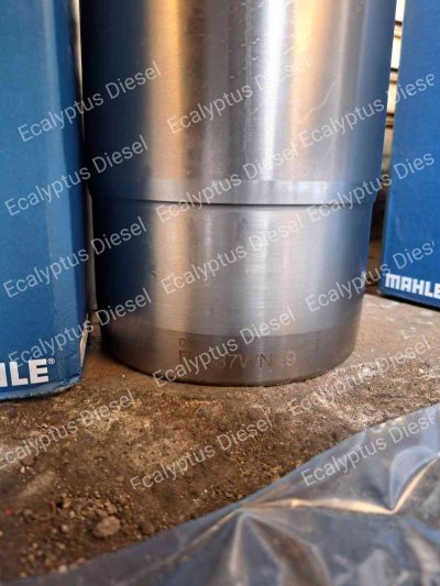 LINER 037WN2901 + ORING LINER 037SK50029000 MAHLE VOLVO TD103