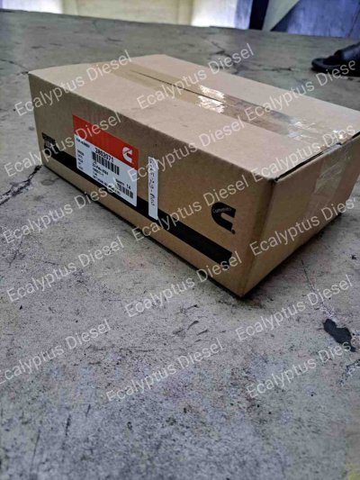 MAIN BEARING CUMMINS 6BT 3802071 0,25