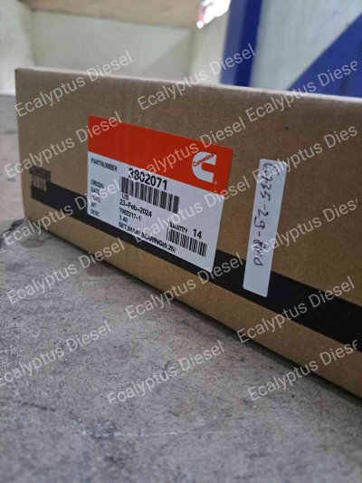 MAIN BEARING CUMMINS 6BT 3802071 0,25
