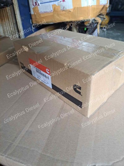 MAIN BEARING STD CUMMINS 4BT 3802070