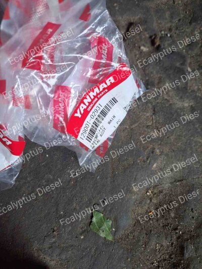 MAIN BEARING STD YANMAR 4TNV84 129001-02931