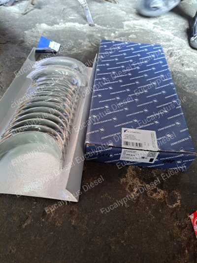 MAIN BEARING STD MERCY OM366 77265604 A3660300040 001HS10768000 - KOLBENSHCMIDT