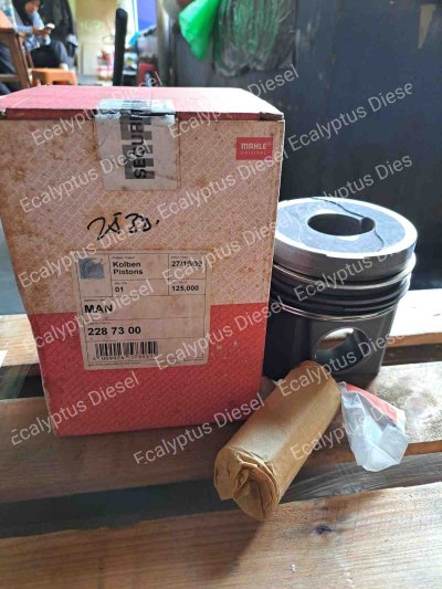 PISTON ASSY MAHLE MAN D2530 2287300 (125L46) 4R - MAHLE