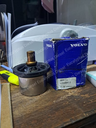 THERMOSTAT VOLVO 3839110