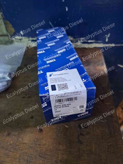 VALVE INTAKE MAN D2530 25237 227VE30412000 51.04101-0478 - TRW