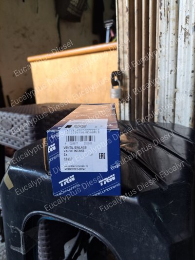 VALVE INTAKE MERCY OM444 17028 4220500026 16117 (1GOT) - TRW