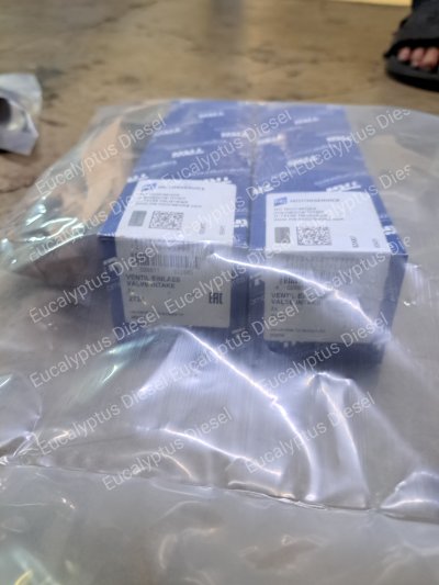 VALVE INTAKE MWM 229 & MWM 226 622804603014 2734 - TRW