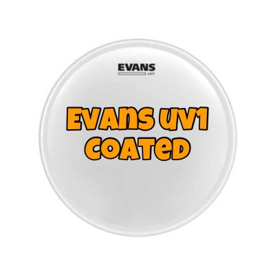 EVANS HEAD DRUM B10UV1 - SIZE 10"