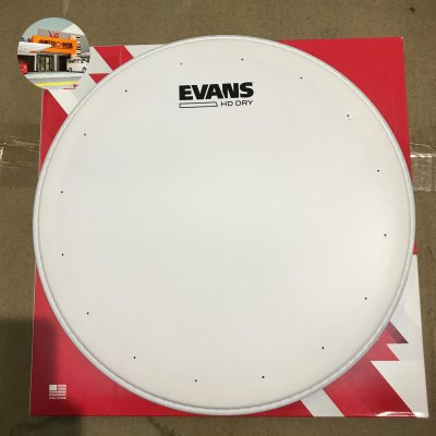 EVANS DRUM HEAD 12 INC B12HDD - SIZE 12"