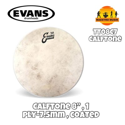 EVANS HEAD DRUM TT08C7